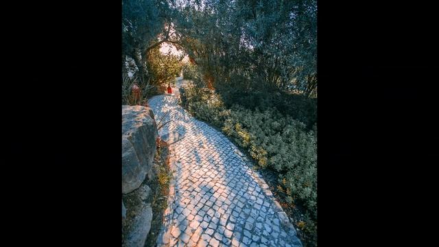 Лучшие идеи красивых дорожек для дачи.