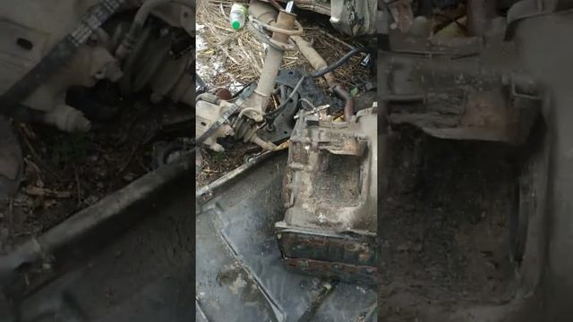 Покупаю АКПП на разборке Toyota sprinter 4WD смотреть онлайн
