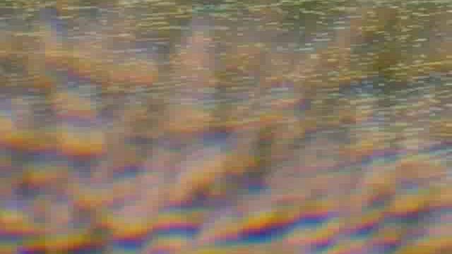 The Search For El Dorado