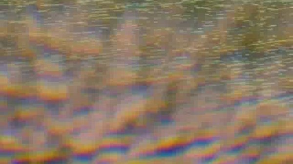 The Search For El Dorado