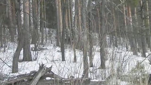 CF 500A + SYM 600 + CF X6 + CF 500 = покатушка 24.03.13._12 смотреть онлайн