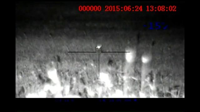 Pulsar Digisight N850 LRF Digital Night Vision Scope and The Owl by Nito Mortera смотреть онлайн