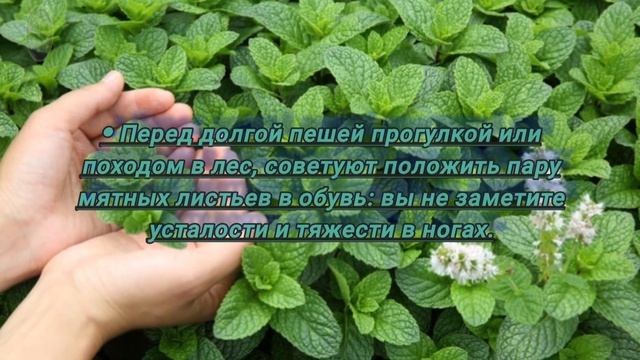 СтройТочка Зрения