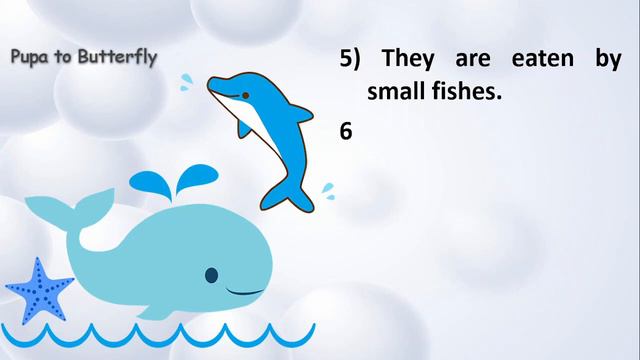 10 Lines on Sea Animals in English | Ocean Animals | Few Lines on Sea Animals смотреть онлайн