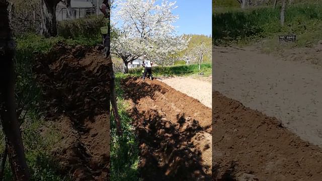 Мотофреза Gardenia 17m mega смотреть онлайн