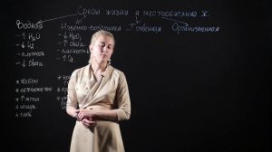 БИОЛОГИЯ 7 класс: Среды жизни и местообитание животных