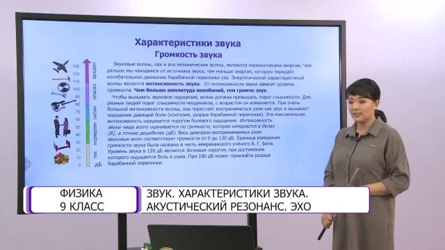 Физика. 9 класс. Звук, характеристики звука, акустический резонанс, эхо /09.03.2021/ смотреть онлайн