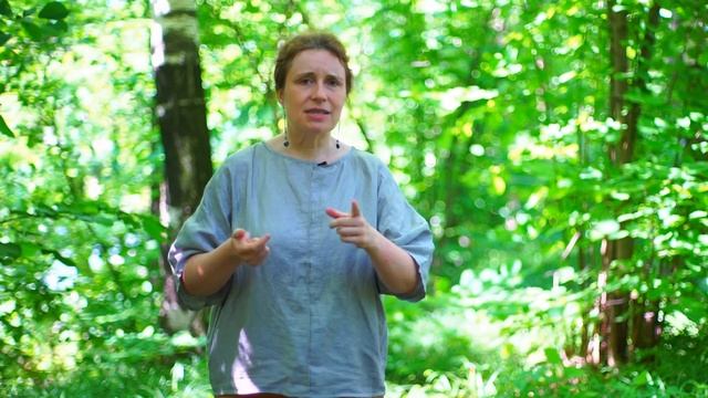 Как стать хорошим оратором. Мои практические секреты для публичных выступлений смотреть онлайн