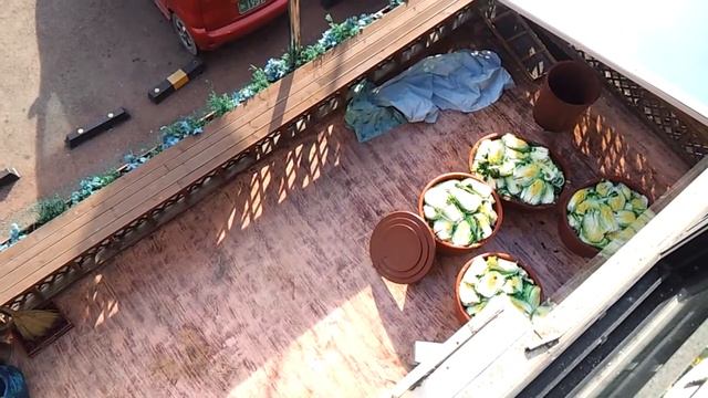 Начался сезон кимчи. День первый: засолка. смотреть онлайн