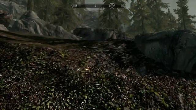 The Elder Scrolls V Skyrim : J'en ai les larmes au yeux .. [Medium Quality] смотреть онлайн