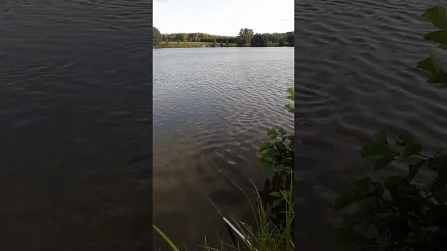 Озеро Линёво, Башкирия Уфа смотреть онлайн