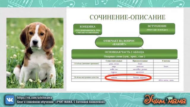 КАК ПИСАТЬ СОЧИНЕНИЕ ОПИСАНИЕ смотреть онлайн