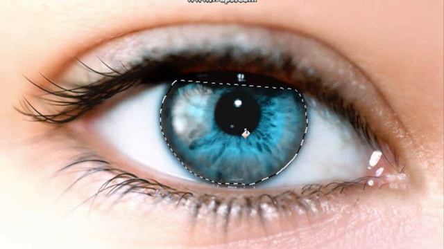 Oeil + photoshop (http://zaken.xooit.com/index.php) смотреть онлайн