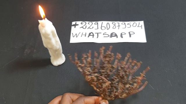 COMMENT TOMBER ENCEINTE AVEC ROSE DE JERICHO (Rituel Amour) смотреть онлайн