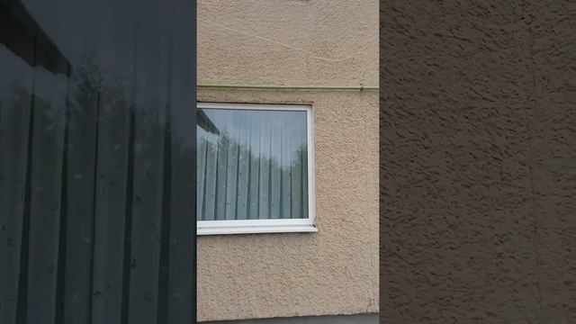 Декор штукатурка.2