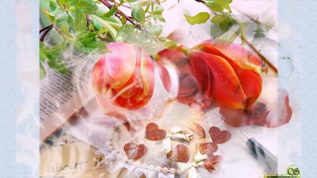 С Днем Святого Валентина(Хочу тебя везде и всю.....) смотреть онлайн