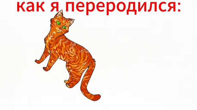 каналис сомберантис