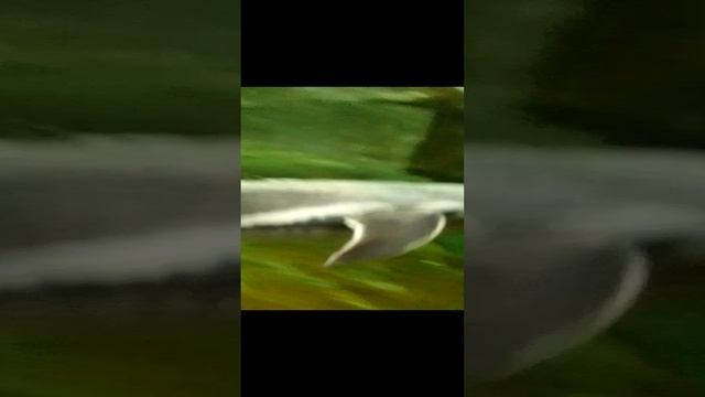 Воронежский океанариум