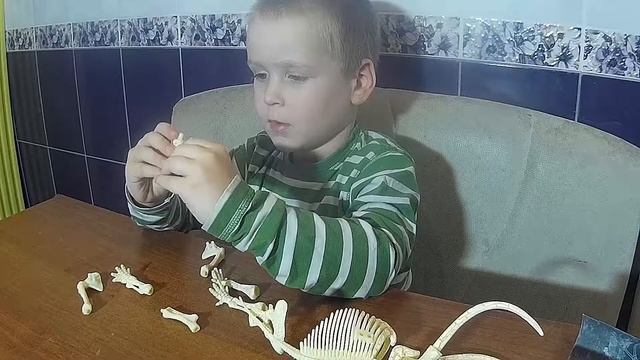 3D-конструктор "Скелет Мамонта" смотреть онлайн