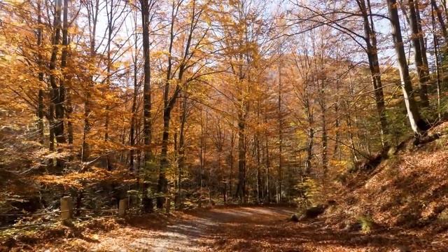 МАЛЕНЬКОЕ (мое обычное) ПРОЧИТАННОЕ смотреть онлайн