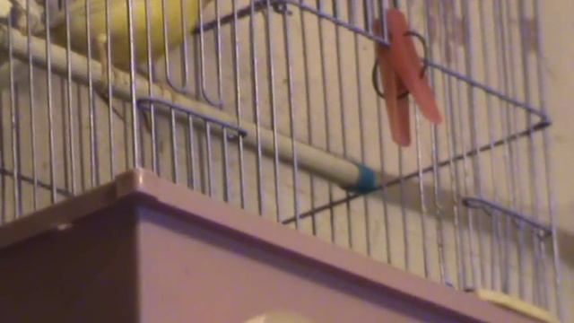 Птички на вылет готовы смотреть онлайн