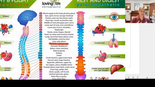 Stomach Pain and Back Pain - What's the link and what can you do about it? смотреть онлайн
