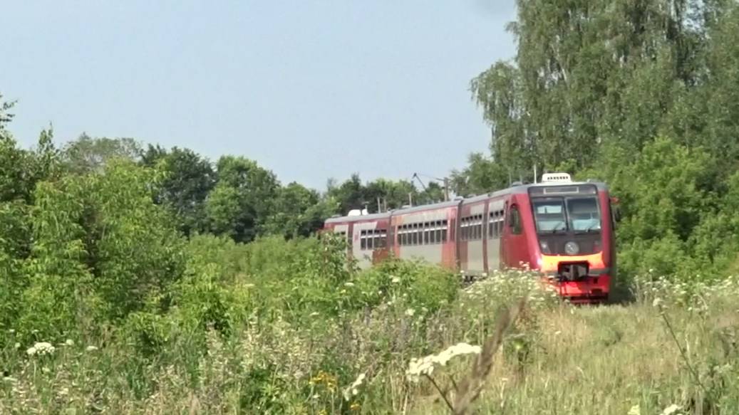 Рельсовый автобус РА2-043 следует по перегону Кожевенное - Окская, Нижегородская область смотреть онлайн