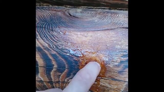 Обжиг фасада бревенчатого дома смотреть онлайн