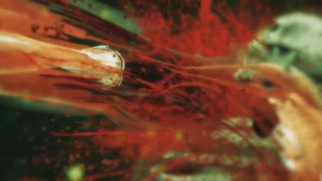 Mortal Kombat Legends: Battle Of The Realms | All X-Rays смотреть онлайн