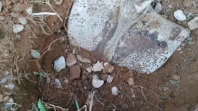 ACHEI UM FILÃO DE PEDRAS PRECIOSAS EM UMA CASCALHEIRA NA BEIRA DA ESTRADA смотреть онлайн