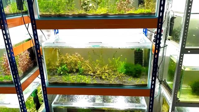 Аквановости на январь 2023