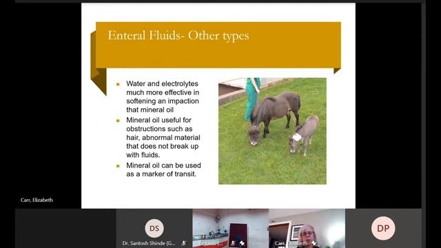 Medical Management of Colic in horses смотреть онлайн