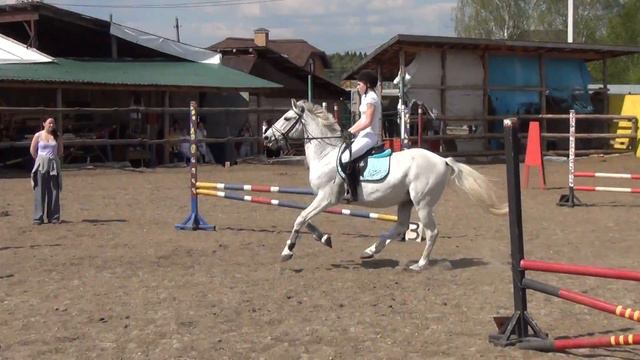 Латушкина Дарья и Желанный (перепрыжка) смотреть онлайн