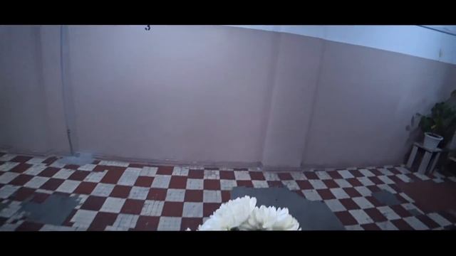 ТОРПЕДО - тренер Игнашевич | владелец из списка Forbes | династия Шустиковых круче Мальдини смотреть онлайн