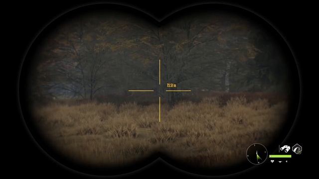 Rookies Attempt to Pro, ELK HUNT - TheHunter : Call of the Wild смотреть онлайн