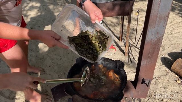 Рыбалка на реке Дон ) отдых с друзьями ) с 17 июля по 1 августа 2023 смотреть онлайн