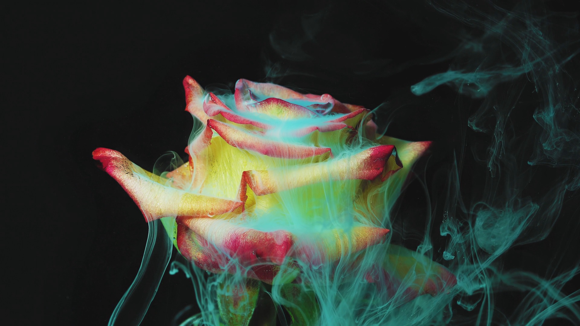 Созерцание чуда / Красивая Инструментальная Музыка смотреть онлайн