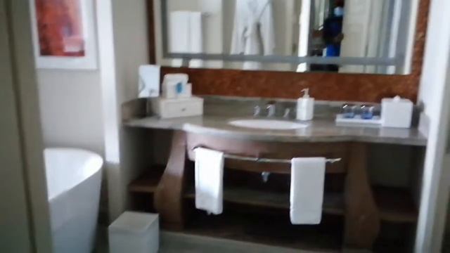 Atlantis Palm Dubai Hotel Check-in. смотреть онлайн