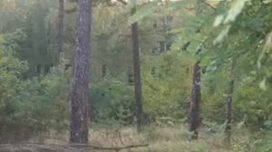 Мальвинкель-бывший гарнизон сегодня 207 мсд ч 2