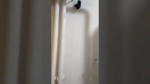 Промывка вторичного теплообменника газового котла  navien deluxe