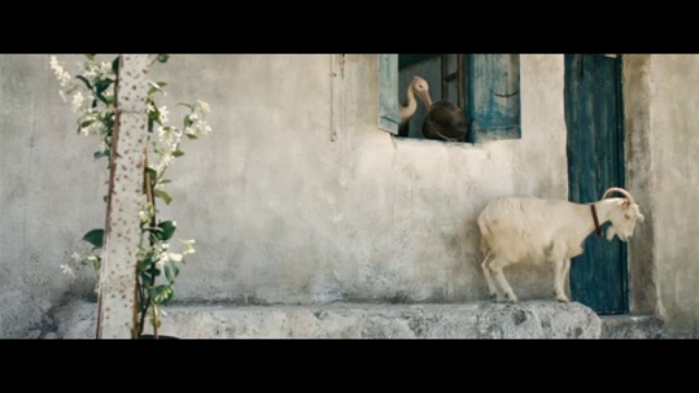 Пеликан смотреть онлайн