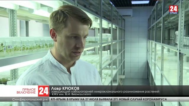 Бренд «Крымская оливка» на национальном конкурсе «Вкусы России» представит КФУ смотреть онлайн