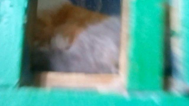 Работа почты России) смотреть онлайн