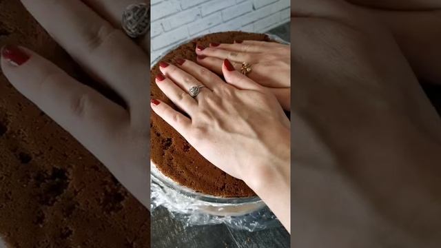 ТОРТ ПАНЧО С ВИШНЕЙ смотреть онлайн