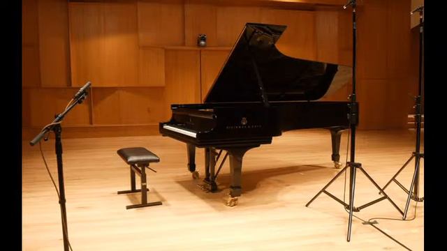 Pedro d'Avila, piano – J.S. Bach, R. Schumann, A. Scriabin, V. Saparov and F. Chopin смотреть онлайн