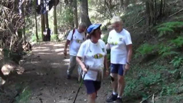 2013 BORNO 1 CAMMINATA IN COMPAGNIA смотреть онлайн