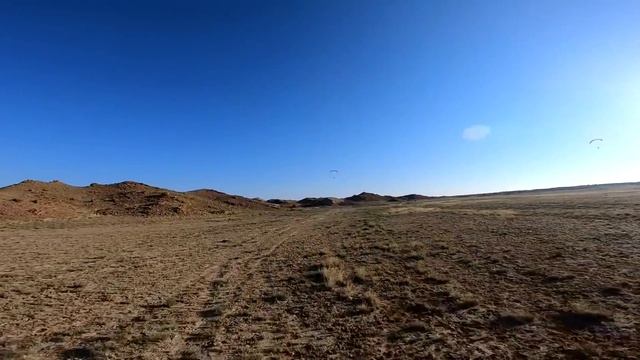 Wild Mustangs, Elk and Longhorn cattle all hiding in Navajo ruins: Flying over a wild animal park смотреть онлайн