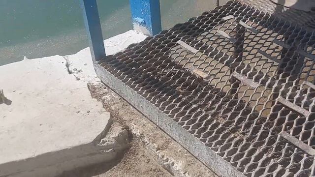 балиг махсуми бошланди жаркишлок Заркент Тошлок смотреть онлайн