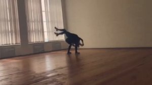 Андрей Нестеренко Алексндра Каштанова Фильмография