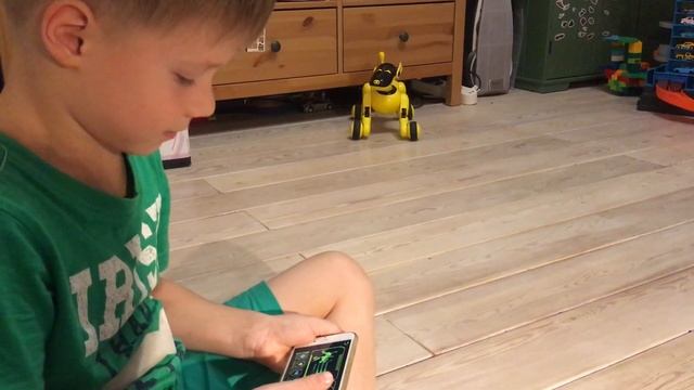 Собачка-робот Дружок — интерактивный щенок с голосовым управлением на русском языке смотреть онлайн